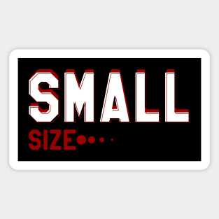 Small Size Magnet